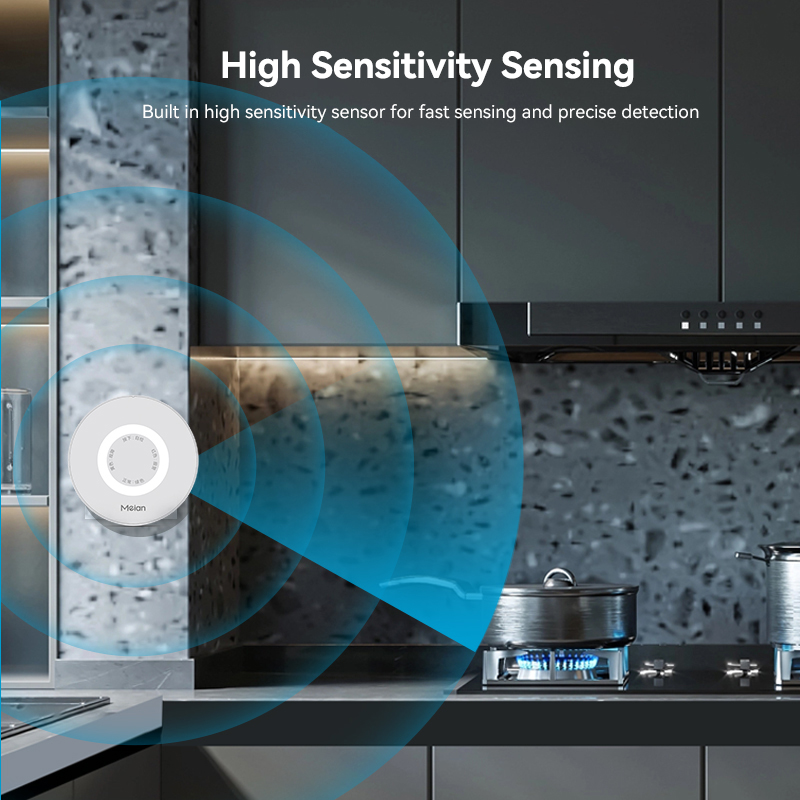 Meian Zigbee Gas Detektor Tuya – Home Security With Ai Bewertung und Preis