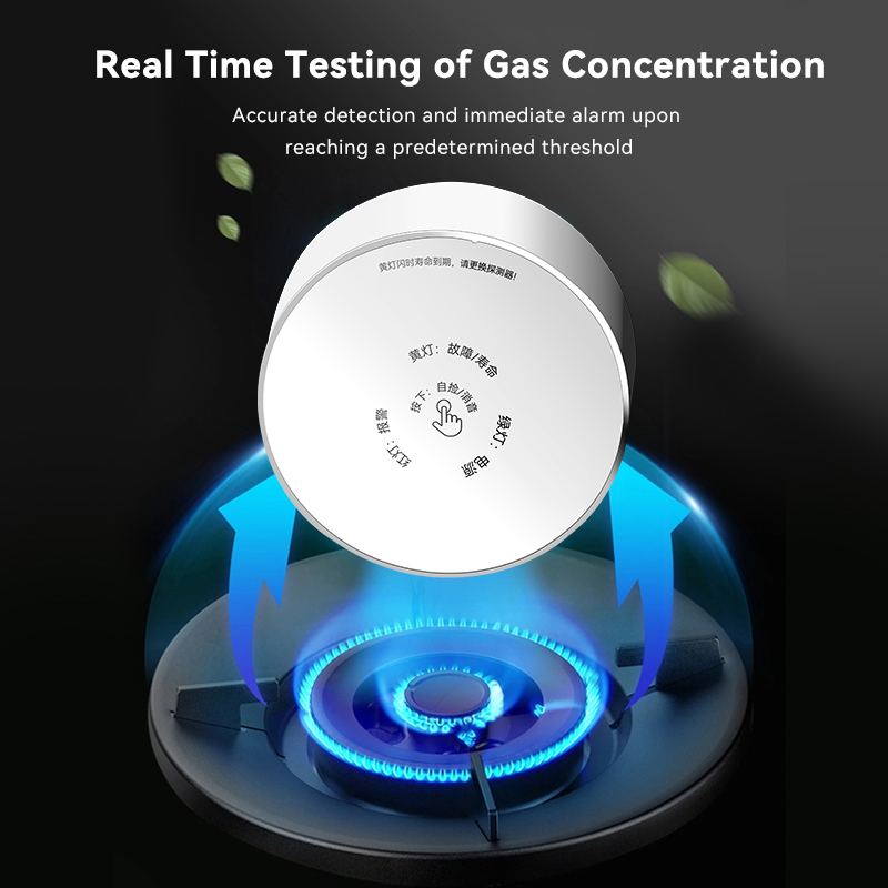 Meian Zigbee Gas Detektor Tuya – Home Security With Ai Bewertung und Preis