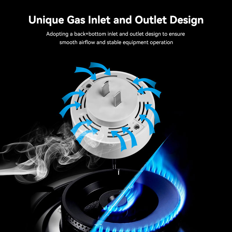 Meian Zigbee Gas Detektor Tuya – Home Security With Ai Bewertung und Preis