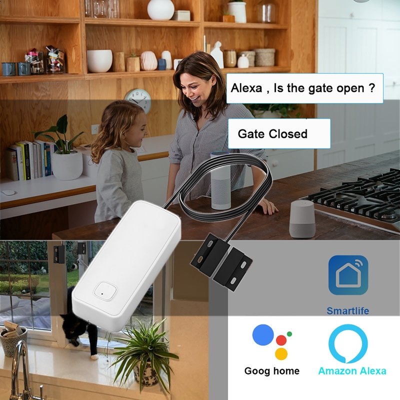Smart Tür Fenster Magnetische  – Home Security With Ai Bewertung und Preis