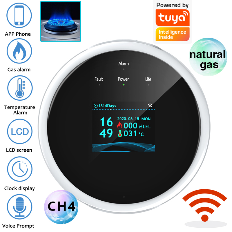 2,4G WiFi Gasalarm-Sensor, Det – Home Security Upgrades Bewertung und Preis