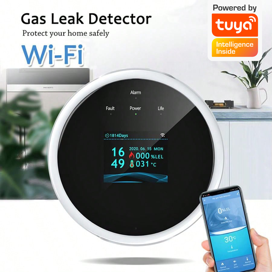 2,4G WiFi Gasalarm-Sensor, Det – Home Security Upgrades Bewertung und Preis