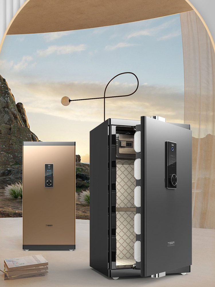 Großer Sicherheits-Fingerabdru – Home Security Safe Bewertung und Preis